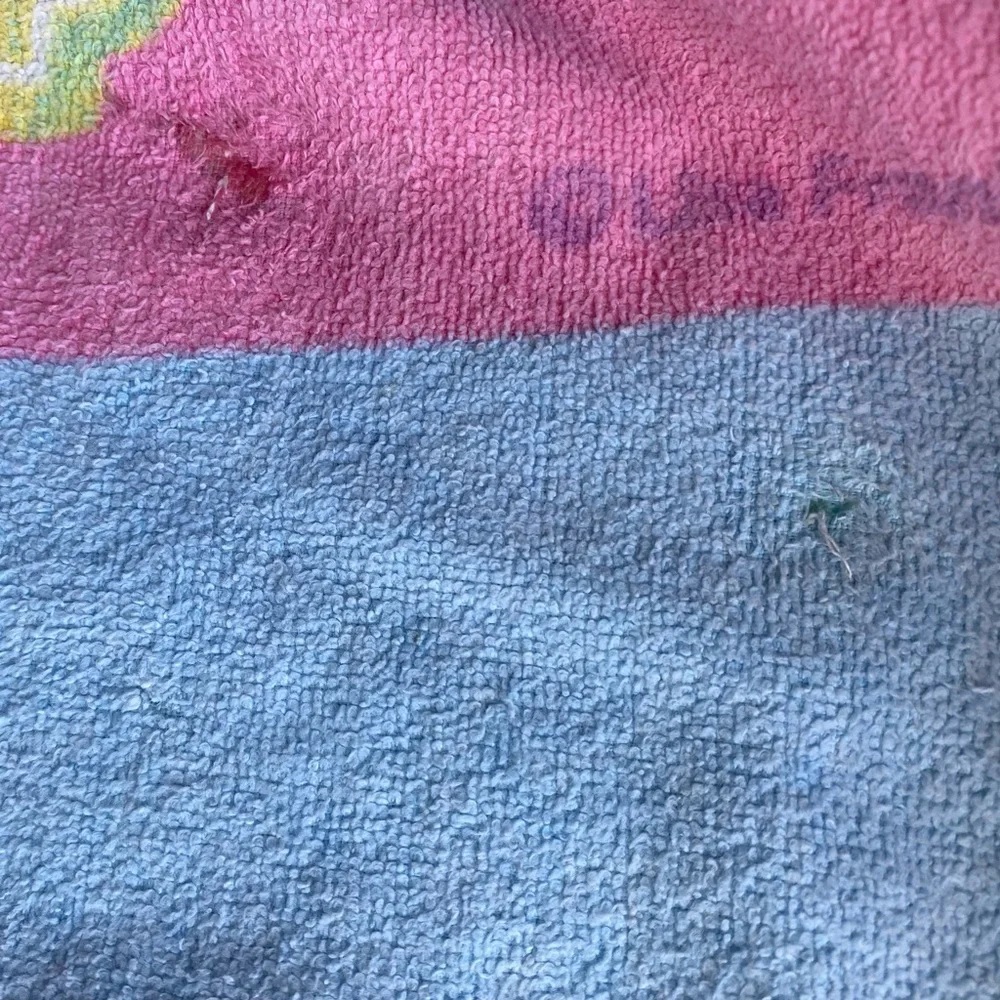 VTG Lisa Frank Casey and Caymus beach towel
